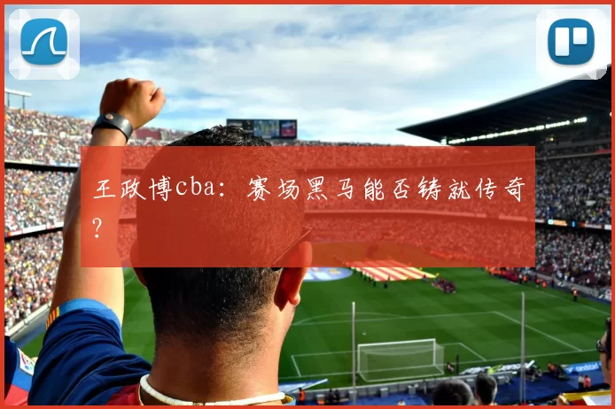王政博cba：赛场黑马能否铸就传奇？