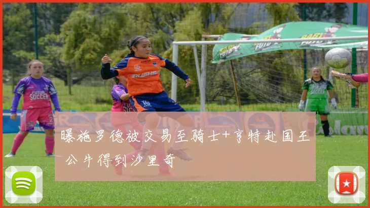 曝施罗德被交易至骑士+亨特赴国王 公牛得到沙里奇