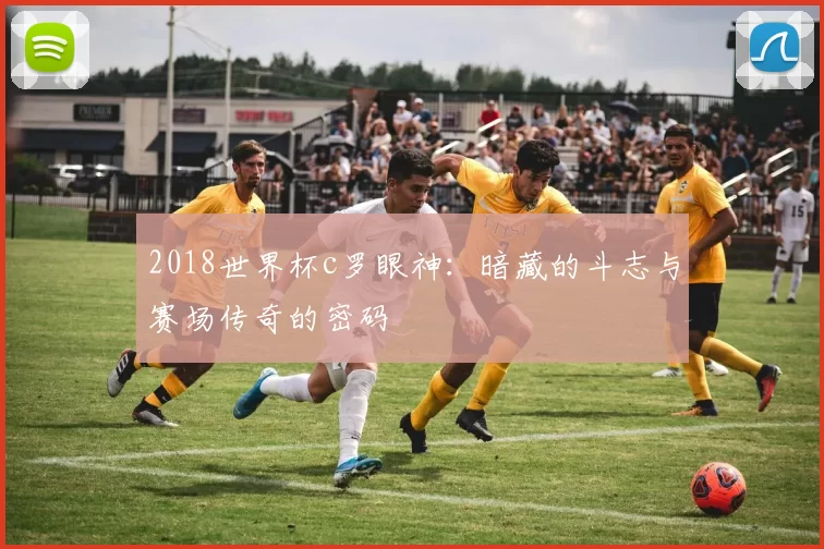 2018世界杯c罗眼神:暗藏的斗志与赛场传奇的密码