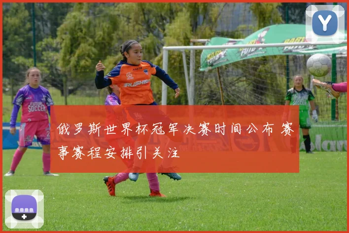 俄罗斯世界杯冠军决赛时间公布 赛事赛程安排引关注